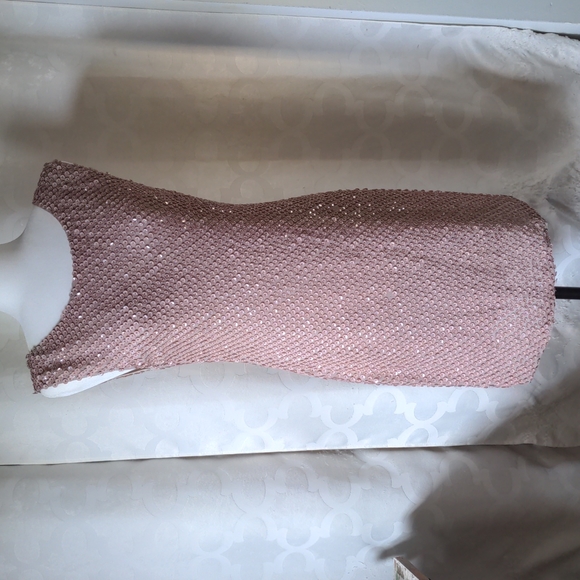 Alice + Olivia Dresses & Skirts - Alice + Olivia - Sequin Mini Dress Nude (6)